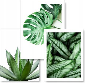 Monster szett 3 db kép 30x40 poszter #58