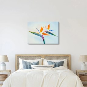 Virág képe (70x50 cm)