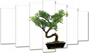 Festmények 140x80 Bonzai fa