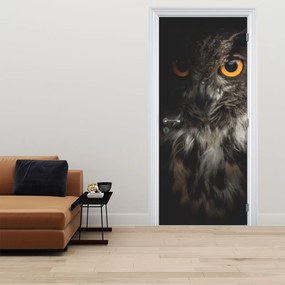 Fotótapéta ajtóra - Bagoly (95x205cm)