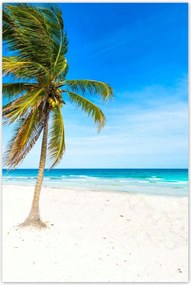 Poszterek 80x120 Trópusok Tájkép Pálma