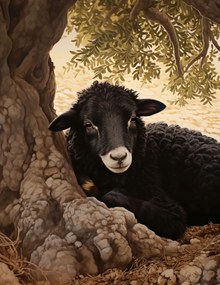 Poszter 50x65cm Nyugalom a sötétben