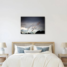 Kép - Rét virágai a tónál (üvegen) (70x50 cm)