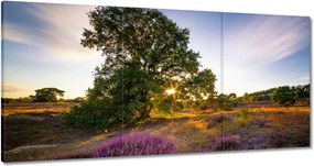 Festmények 120x60 Tájkép Látvány