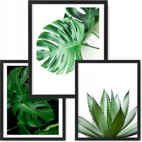 3 db-os kép szett 53x43 Monstera poszter ikea keret #61