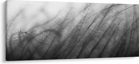Kép - Fű a szélben (120x50 cm)