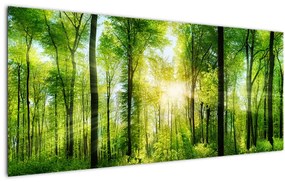 Kép - Hajnal az erdőben (120x50 cm)