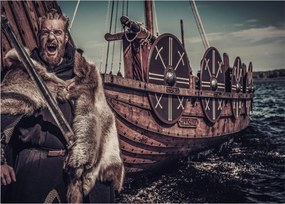 Kép - Viking harcos (70x50 cm)