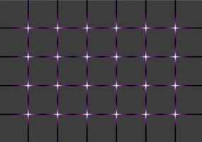 Fotótapéta Lila négyzetháló minimalizmus geometria 254x184 +ragasztó