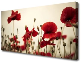 Canvas kép Pipacsok virágok 140x70 cm