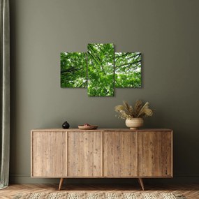 Kép - Kilátás a fák tetejére (90x60 cm)