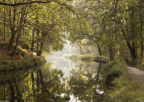 Poszter 29,7x21cm Csatorna Basingstoke 2, Assaf Frank