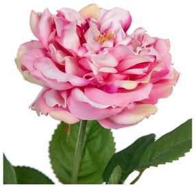 Művirág (magasság 43 cm) Rose – Ixia