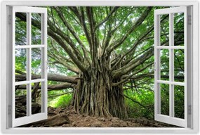 Poszterek 120x80 Fa Fák Kilátás