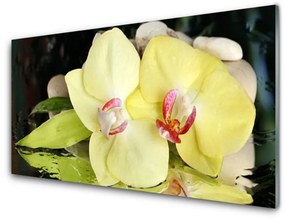 Üvegkép falra Orchidea virág szirmai 100x50 cm 2 fogas