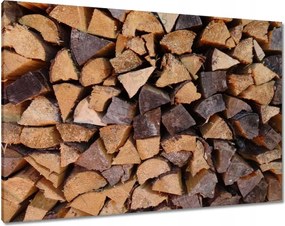 Vászonkép 100x70 Fa a kandallóhoz