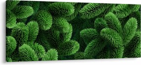 Kép - Tűlevelű gallyak (120x50 cm)