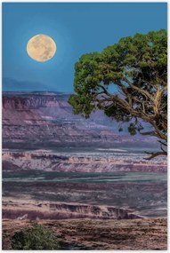 Poszterek 60x90 Kilátás Tájkép