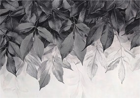 Fotótapéta Levelek Lógó Szürke Hálószoba Nappali Tapéta Flizelina 150x105