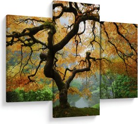 Egy sárga japán juhar képe, Portland, Oregon (90x60 cm)