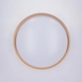 Brilagi -LED Fényerőszabályozható mennyezeti lámpa LUCIA LED/48W/230V átm. 41 cm bézs + távirányító
