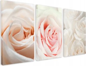 Pasztell vászonképek a nappaliba Finom virágok Rózsaszirmok 90x180