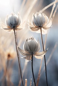 Poszter 61x90,5cm Költői ősz