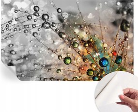 Öntapadós Dekoratív Fotótapéta Hálószobába Rosa ékszerek 416x254 cm