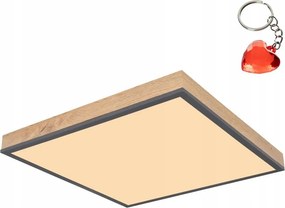 Led plafon 24W Doro 416080WD2 Globo