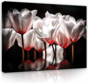 Vászonkép Tulipán Virágok Vászon Fal Modern Hálószoba Nagy 100x70