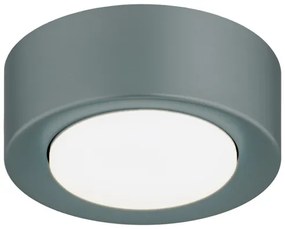 Argon 8917 - ELORA mennyezeti lámpatest 1xGX53/7W/230V átm. 11 cm szürke