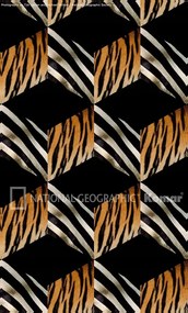 3D fotótapéta geometriai minták Szúnyog 2-509