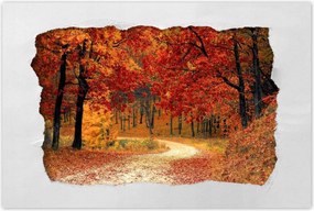 Poszterek 120x80 Tájkép