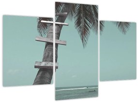 Kép - Palma a Karib-tengeren (90x60 cm)
