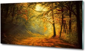 Fotó üvegkép Trópusi tengerpart 125x50