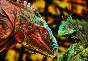 Fotótapéta Iguana egzotikus vinil természet 254x184 +ragasztó