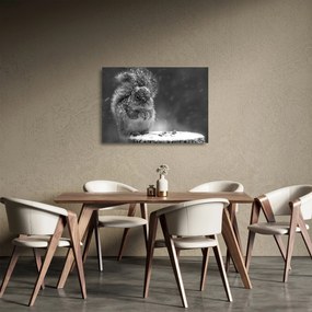 Üveg kép - Mókus télen (70x50 cm)