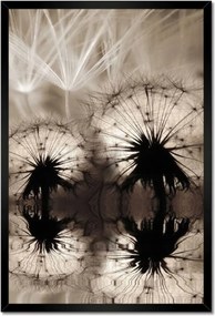 Poszterek keretben 40x60 Pitypangok szépia papírsárkányok