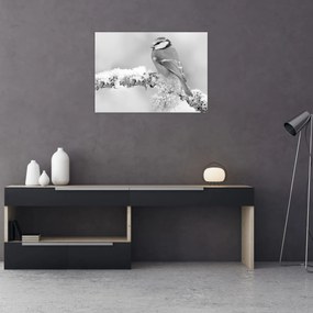 Üveg kép - Egy madár egy ágon (70x50 cm)