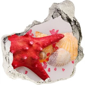 3d lyuk fal dekoráció Starfish és kagylók nd-p-75838454