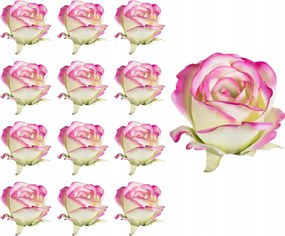 Rózsafej rózsaszín-zöld 12 db-os művirág szett