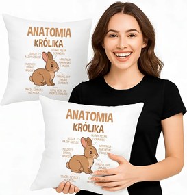 A nyúl anatómiája Ajándék párna a nyúl tulajdonosának