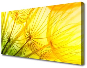 Vászonkép Pitypang Virágok Természet 125x50 cm