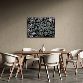 Kép - Fagyasztott növények (70x50 cm)