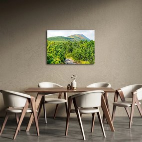 Kép - Babi Hora, Lengyelország (70x50 cm)