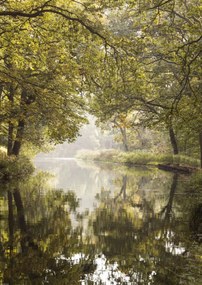 Poszter 42x59,4cm Basingstoke csatorna 2, Assaf Frank