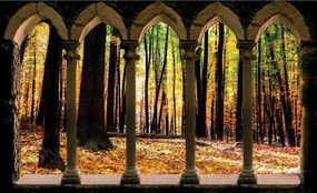 Fotótapéta Őszi erdő Arany ív Kő táj 350x250 +ragasztó