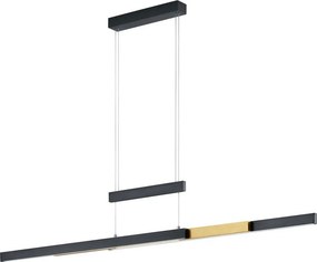 TRIO 375310502 TRAJAN Modern Led Függesztett Lámpa Fekete LED IP20