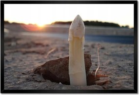 Poszterek keretben 60x40 Első spárga