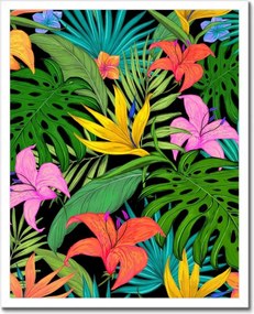 Poszterek keretben 40x50 Levelek Monstery Levelek